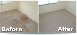 professional-house-cleaners